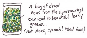 peas