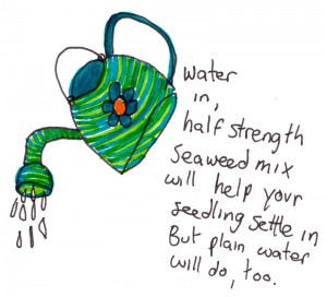 watering-can